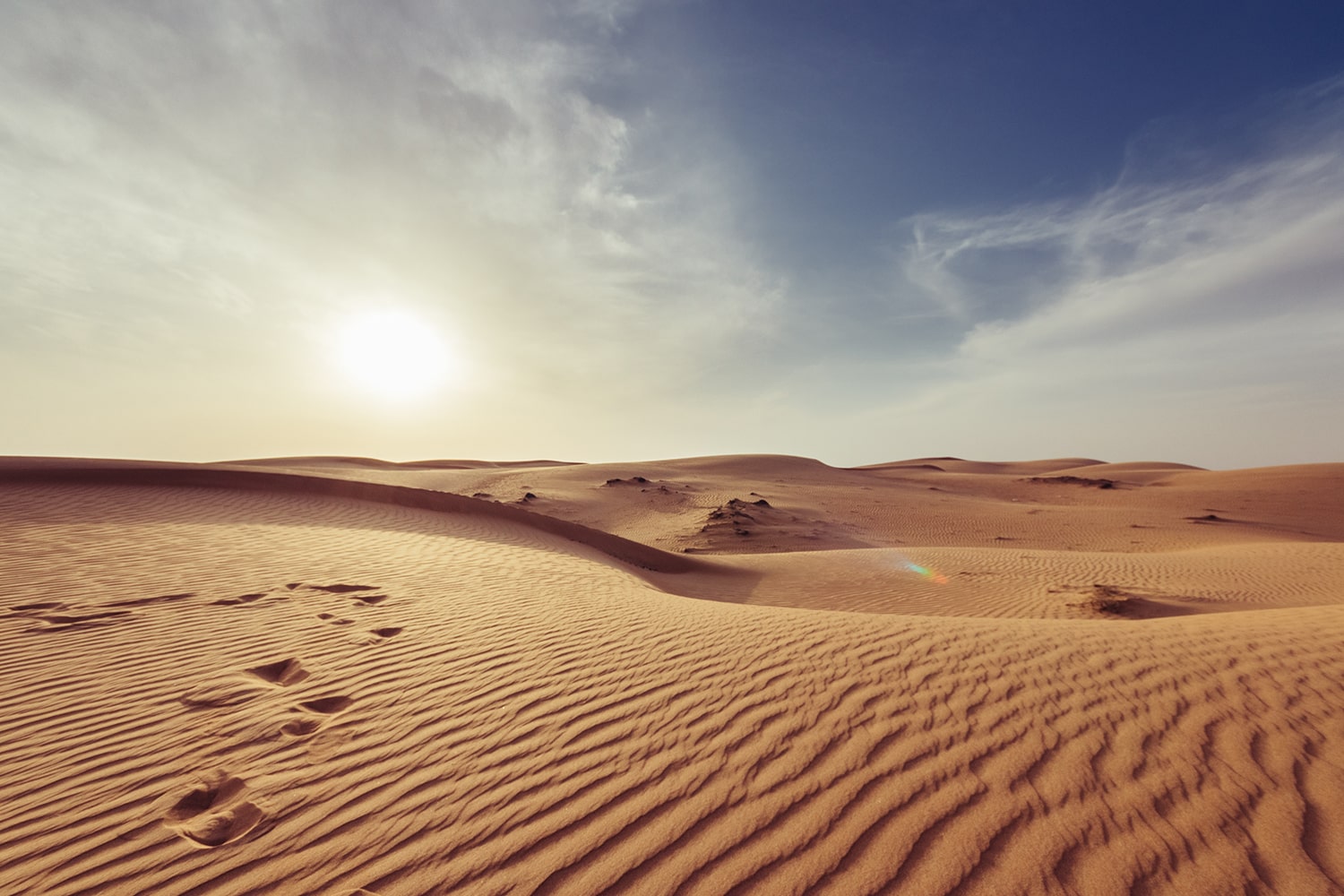 gérer la canicule au bureau
